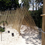 túnel de bambu