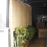 biombo de bambu cana da índia