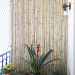 decorações com bambu