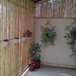 divisória de bambu como parede